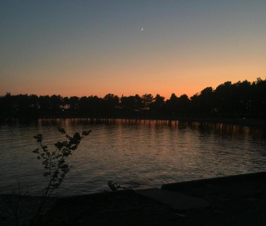 Valentina Daire Novigrad Istria Dış mekan fotoğraf