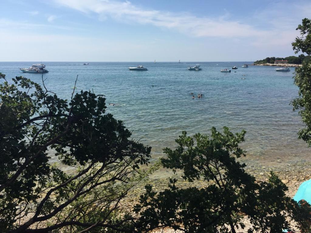 Valentina Daire Novigrad Istria Dış mekan fotoğraf