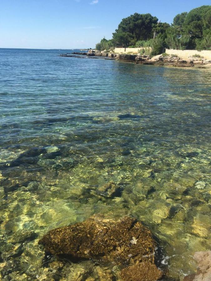 Valentina Daire Novigrad Istria Dış mekan fotoğraf
