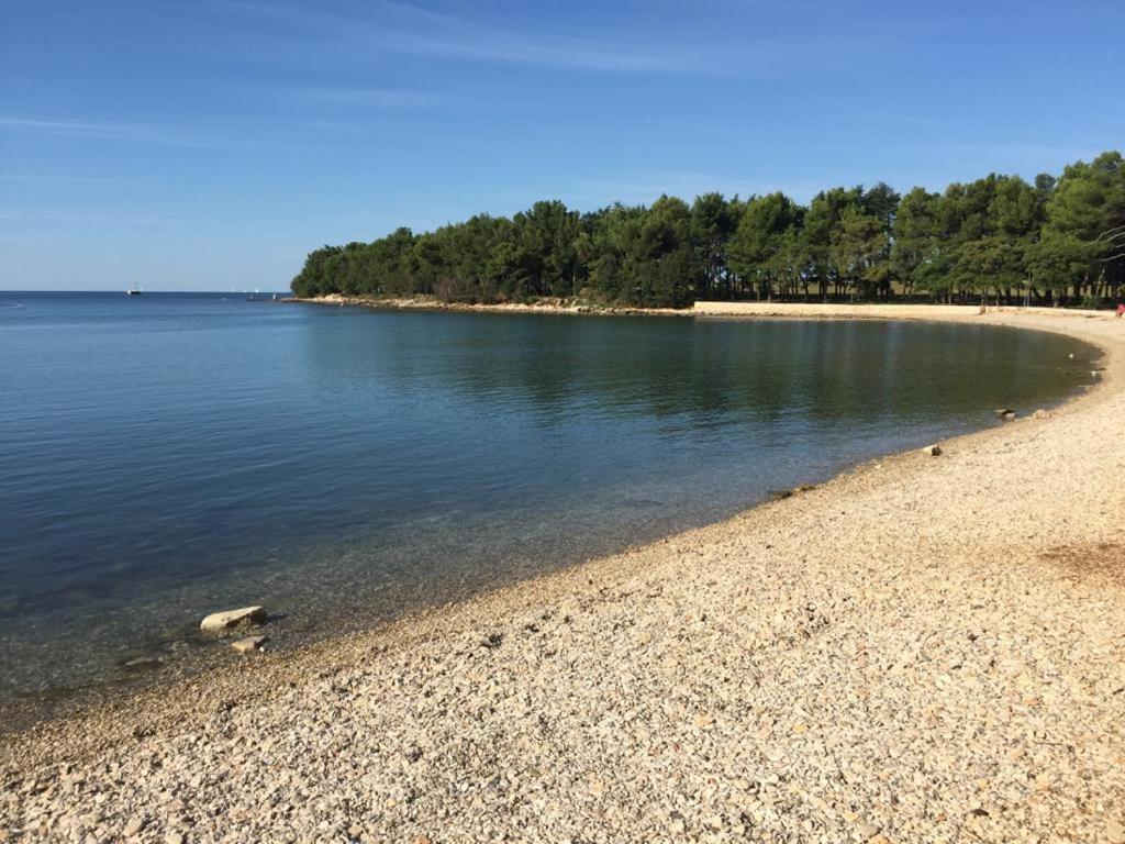 Valentina Daire Novigrad Istria Dış mekan fotoğraf