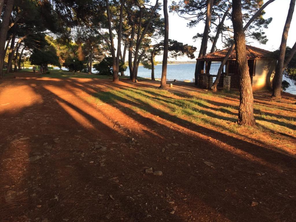 Valentina Daire Novigrad Istria Dış mekan fotoğraf