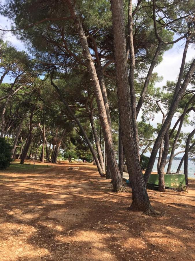 Valentina Daire Novigrad Istria Dış mekan fotoğraf